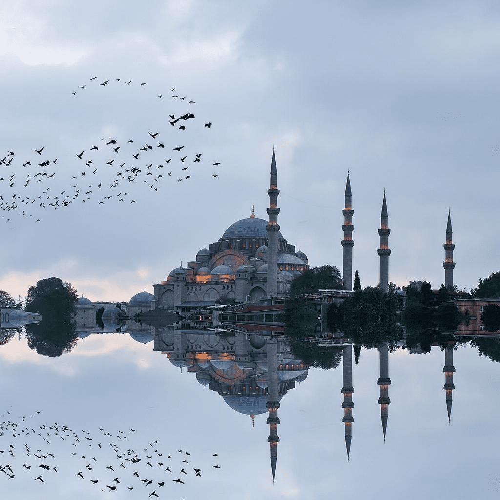 offerte estetica Turchia